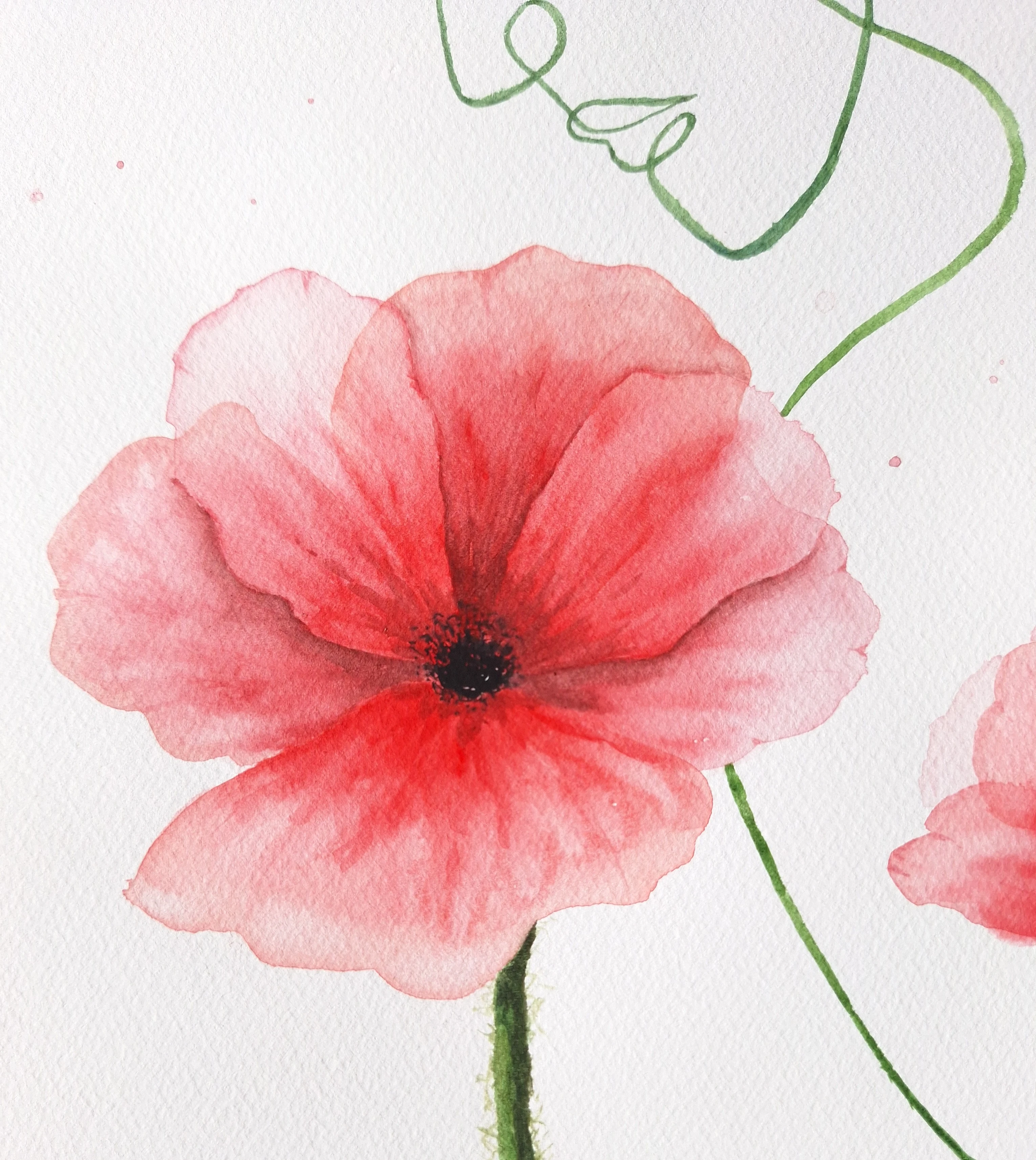 Botanical