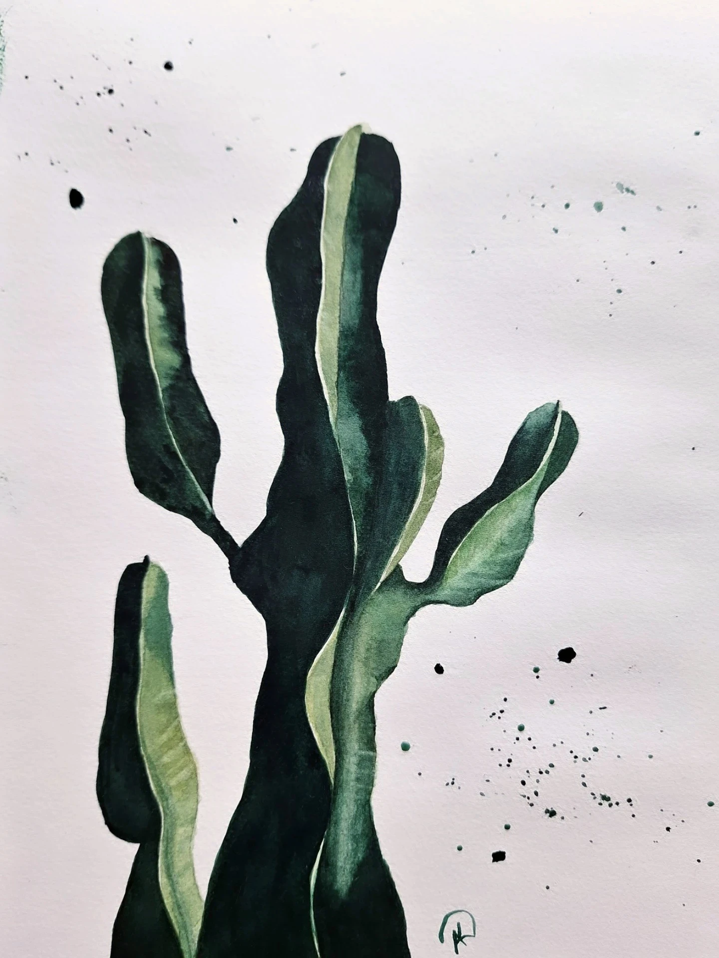 Botanical