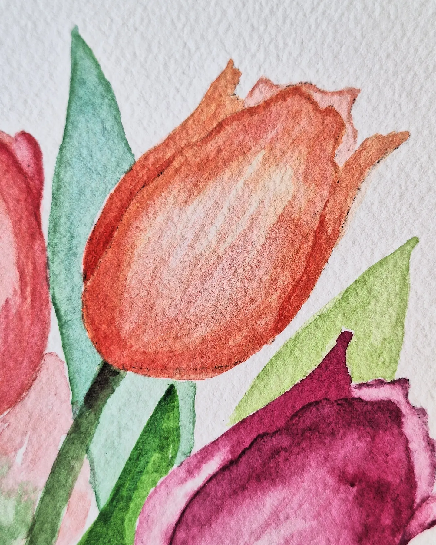 Abundance — view 2