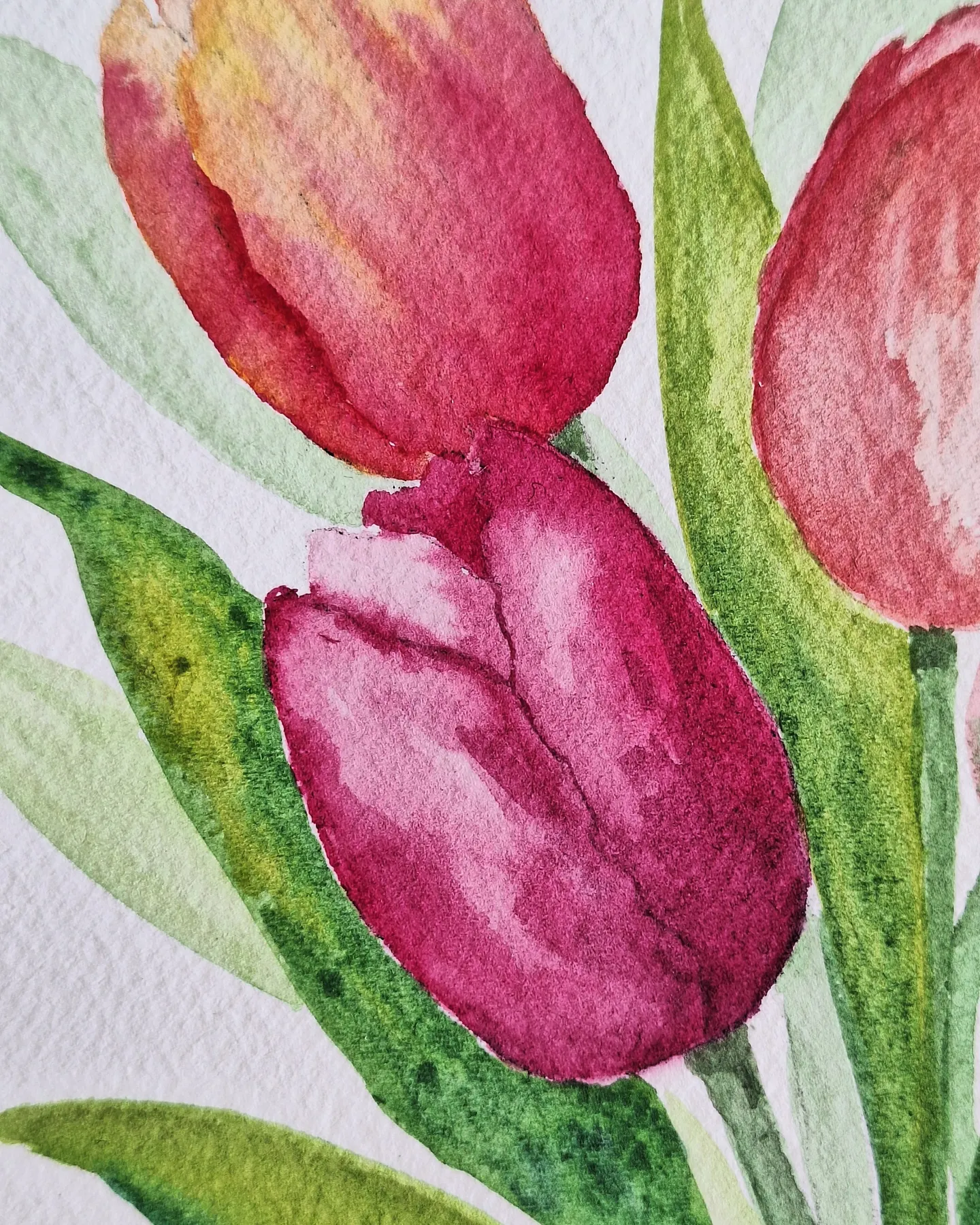 Abundance — view 3