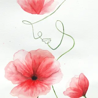 Poppies
