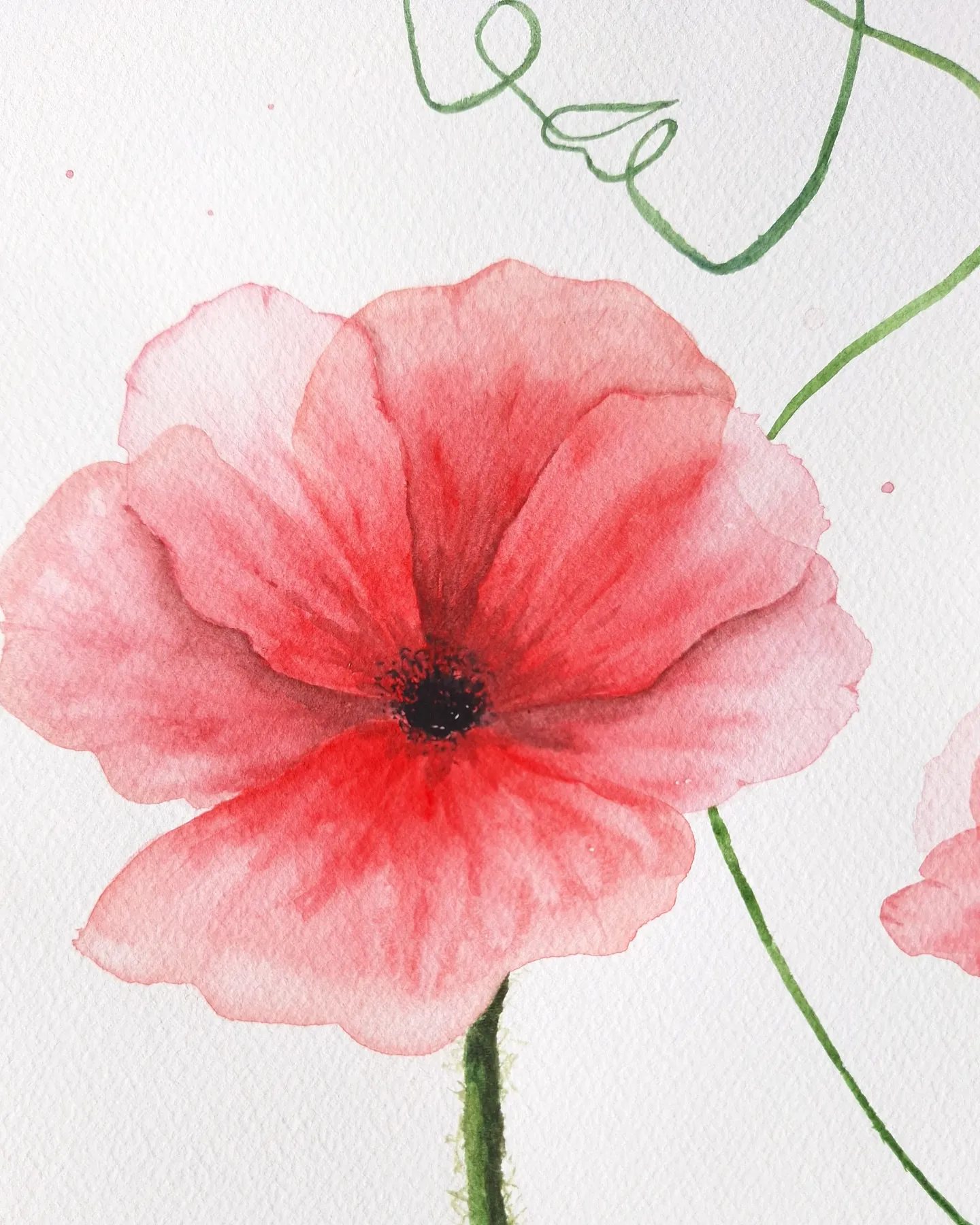 Poppies — view 3