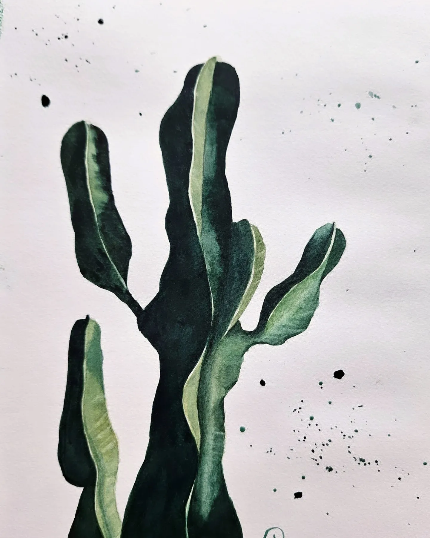 Solitude — view 1