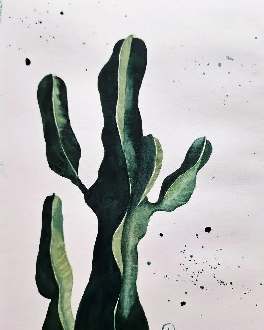 Solitude — Summer Cactus