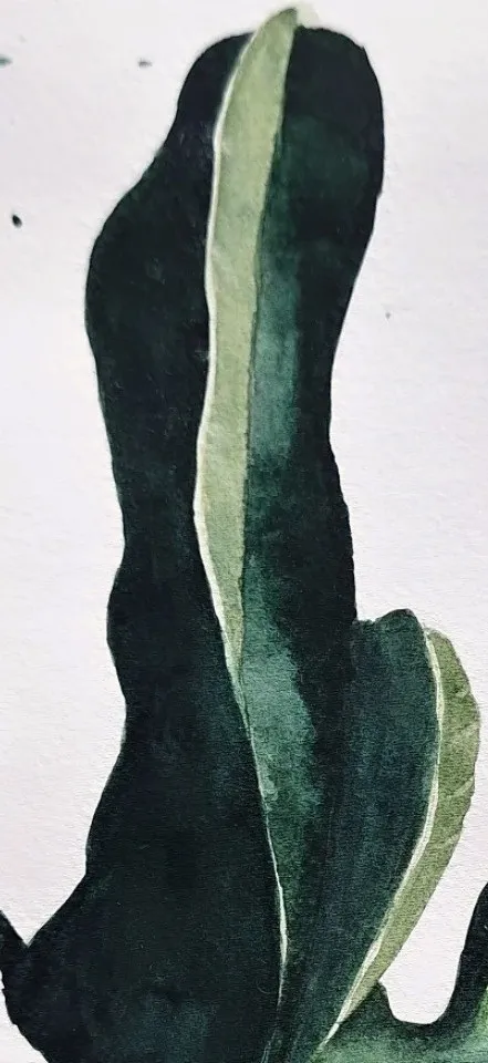 Solitude — view 3