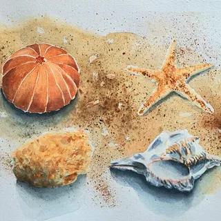 Trésors de Plage