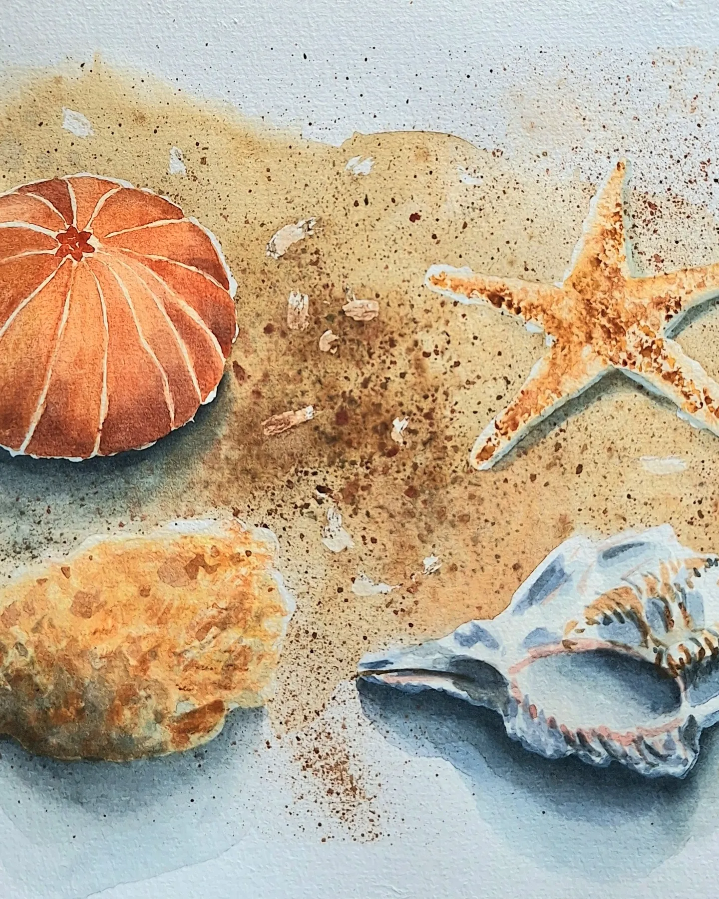Trésors de Plage — view 1